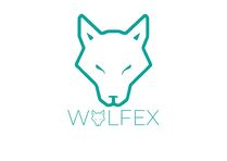 Wolfex Automotive and Machine