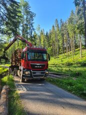 MAN TGS 26.480  kamion za prijevoz drva
