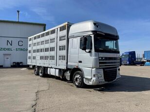 DAF  XF 105.510  kamion za prijevoz stoke