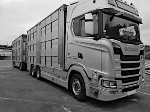Scania R650 V8 RENOVATED ENGINE kamion za prijevoz stoke + prikolica za prijevoz stoke