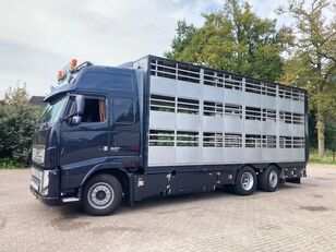 Volvo FH 13.520 6x2/4 1/2/3 stock Livestock kamion za prijevoz stoke